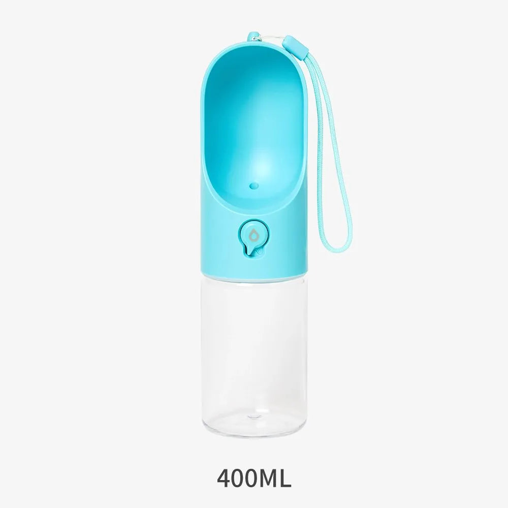 Eversweet Travel Water Bottle