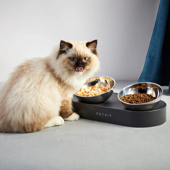Petkit Nano Adjustable Dinner Set Bowls Petkit Global Urban Hub General Trading LLC