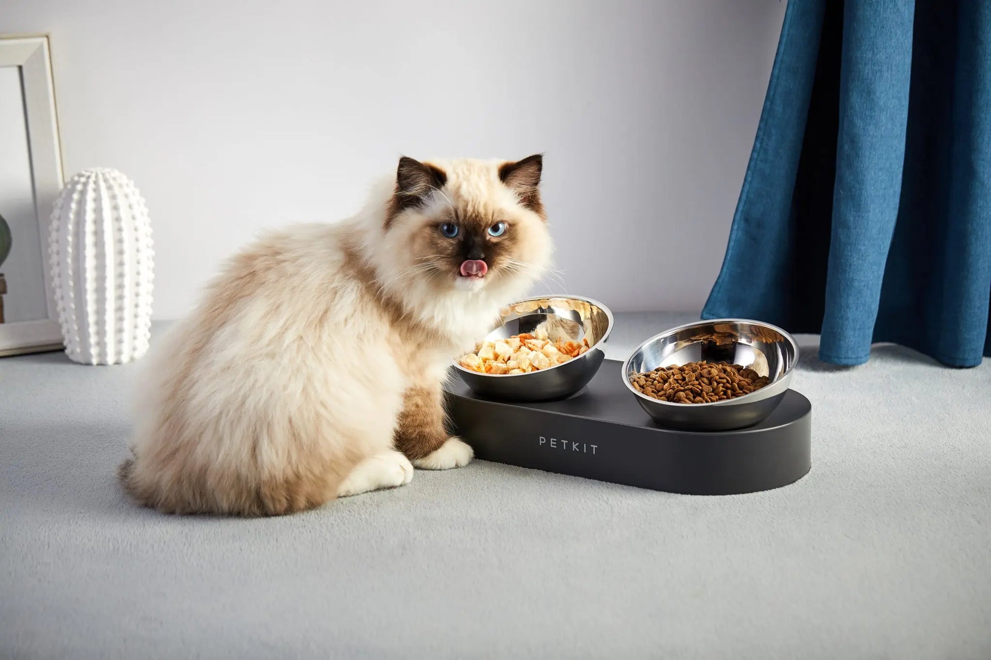 Petkit bowl top