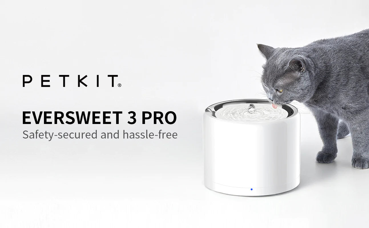 Eversweet 3 Pro Automatic Water Fountain