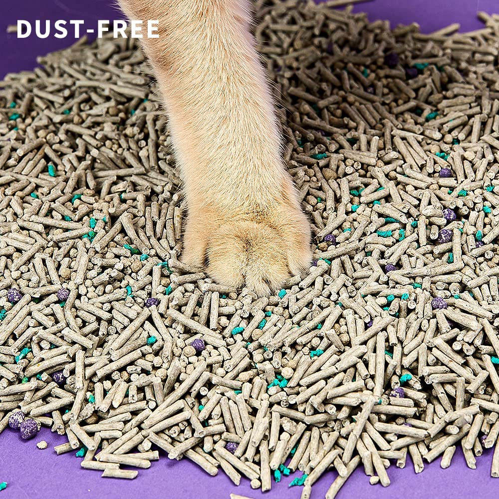 Everclean Flushable Clumping Cat Litter