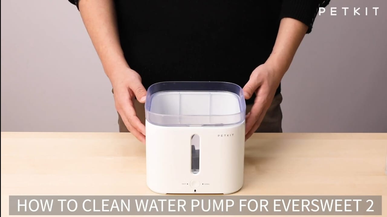 Petkit eversweet smart outlet fountain waterer